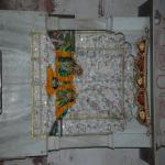 Vraj-Yatra-2014- (1513)